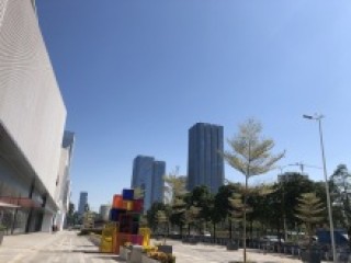 搜狐订阅：新澳门资料大全正版资料4不像-广州房价连跌一年