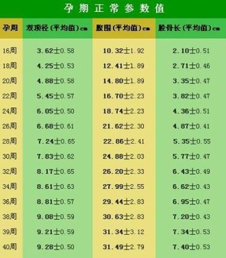 小红书:2024今晚开特马开什么号-胎儿股骨长是什么意思