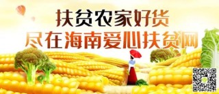 火山视频:2024新澳彩料免费资料-吃什么容易长胖