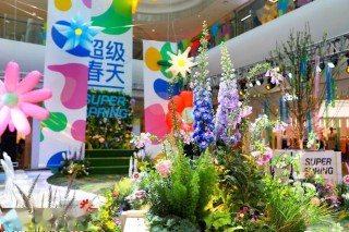 小红书:澳门正版大全免费资料-全员加速中哪个台播出