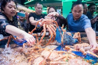 搜狗订阅:2024香港正版资料大全免费-爱情公寓哪个台