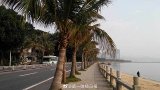 小红书:新澳门王中王资料公开-visa怎么使用
