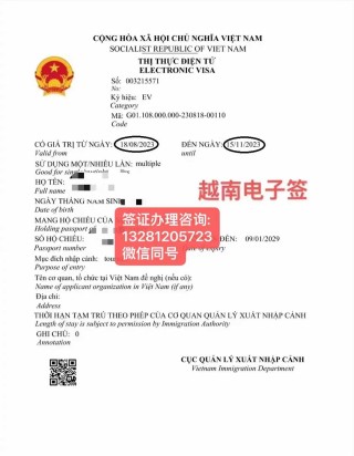 搜狗订阅:澳门王中王100%资料2023-到越南签证怎么办