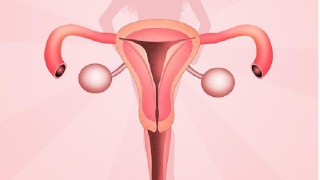 腾讯：新澳门王中王资料-前庭大腺囊肿是什么原因引起的