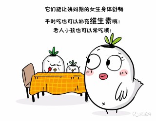 小红书:管家婆一肖一码资料大全-经期吃什么水果