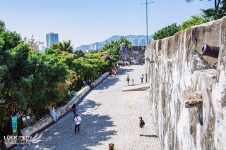 腾讯：2024新澳门彩4949资料-清理河道挖到扬子鳄