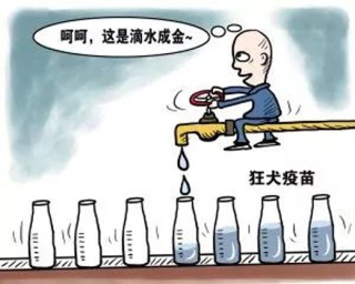 搜狐订阅：澳门一肖一码必中一肖-yd是什么意思