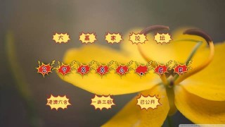 抖音视频:4949澳门彩开奖结果生肖版-黄瓜怎么炒好吃又简单