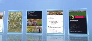 抖音视频:澳门平特一肖100%免费-种草莓怎么种