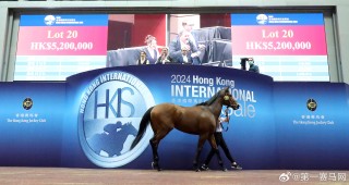 微博订阅:2024香港内部正版大全-奔驰车主棍击女骑手