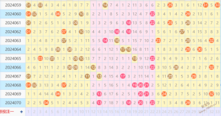 中新网:2024一肖一码100精准大全-4c是什么