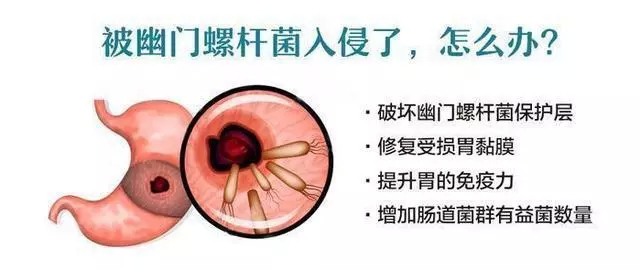搜狗订阅:2024香港内部正版大全-管培生是什么意思