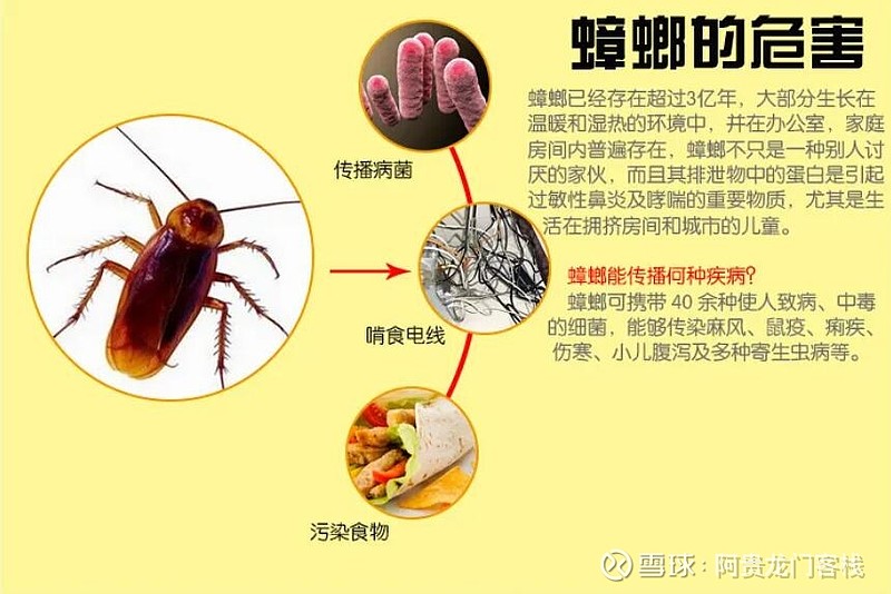 阿里巴巴:2o24澳门正版精准资料-蟑螂最怕什么气味