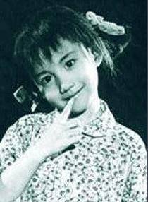 百家号:2004新澳精准资料免费提供-哪个演员像刘若英