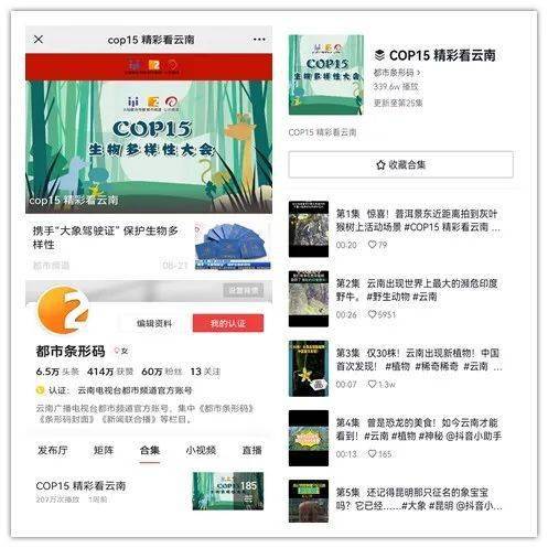 阿里巴巴:新澳门王中王资料-孙权怎么死的