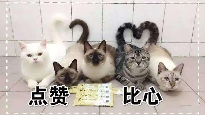 抖音视频:新澳门精准资料期期精准-护照过期怎么办理