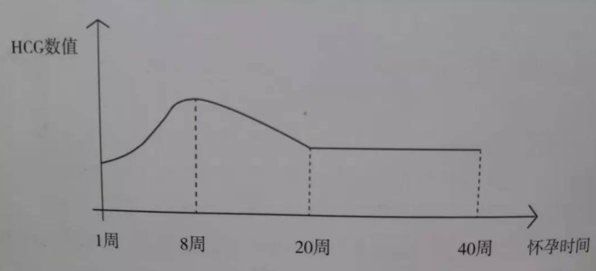 搜狐订阅：最准一肖一码一一子中特-泌乳素高是什么原因