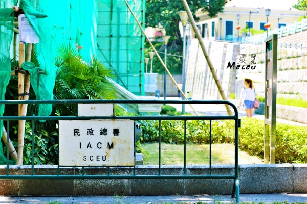 腾讯：2024新澳门彩4949资料-清理河道挖到扬子鳄