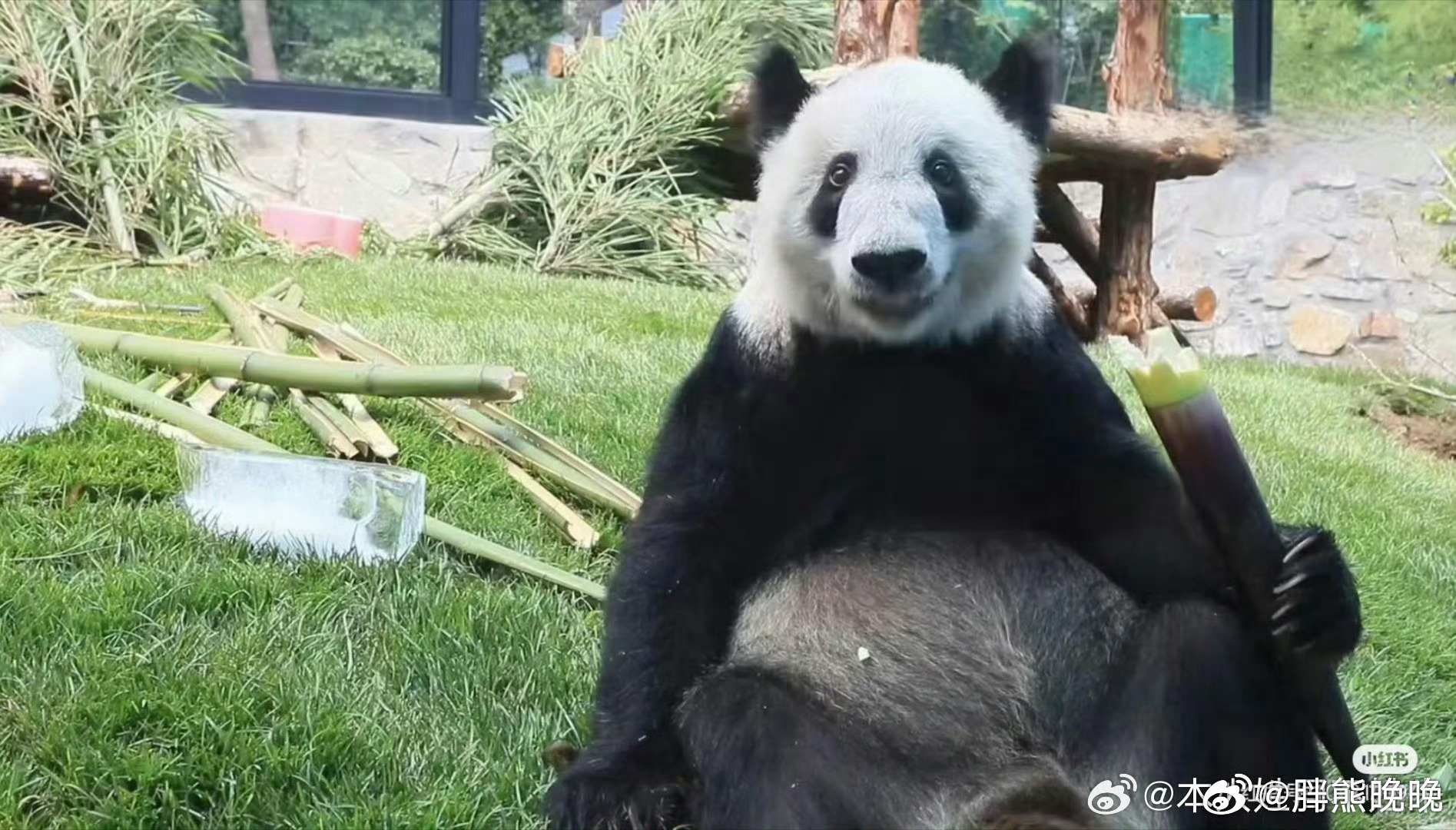 微博:澳门精准三肖三码三期开奖结果-什么的种子