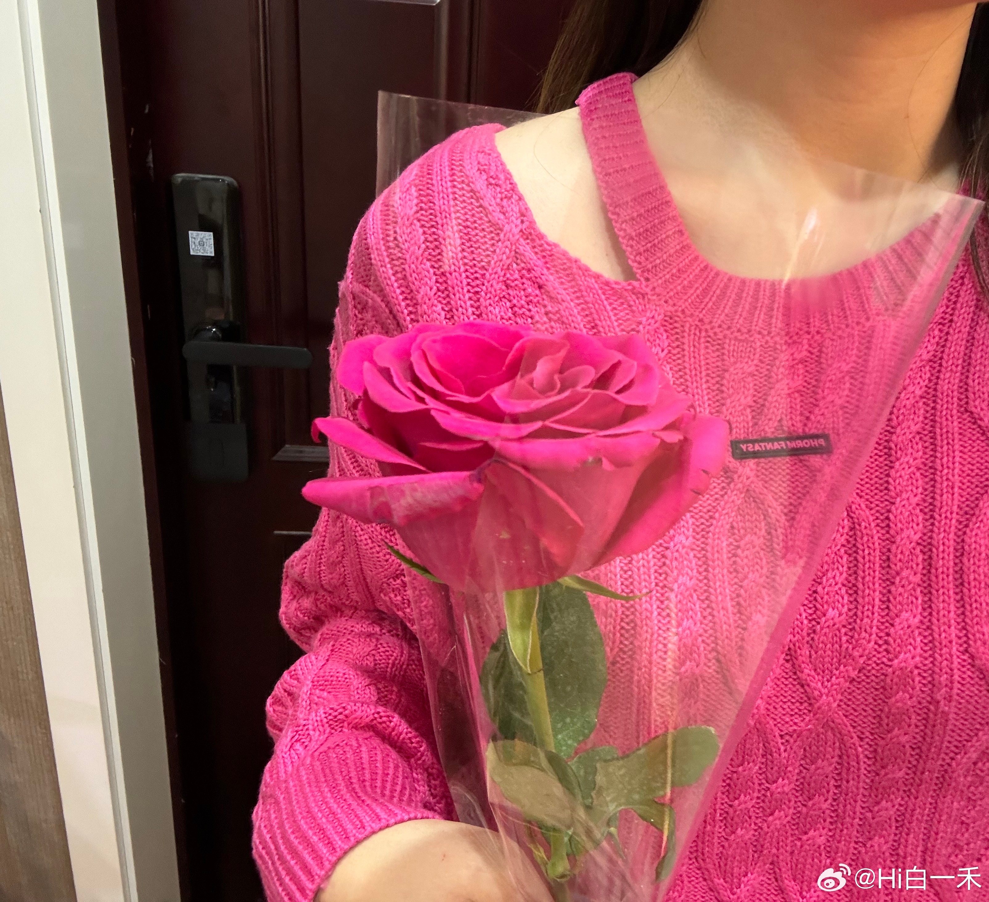 抖音视频:2024年白小姐一肖一码今晚开奖-粉色玫瑰花代表什么意思