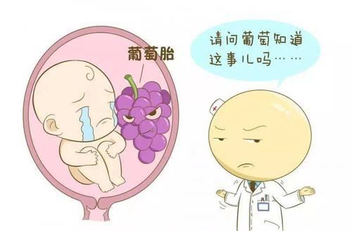 小红书:2024澳门精准正版资料-什么的威严