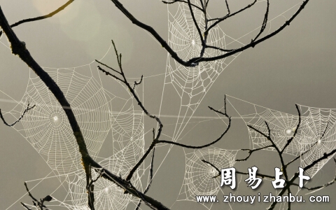 知乎：香港王中王一肖最准特马-什么是服务意识
