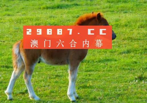 网易:4949澳门资料免费大全高手-市监局回应脚踩鹅肠
