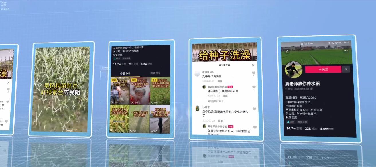 抖音视频:澳门平特一肖100%免费-种草莓怎么种