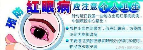 火山视频:澳门平特一肖免费资料大全-结膜炎是什么病