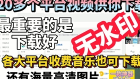 抖音视频:2023澳门资料大全免费-沮可以组什么词
