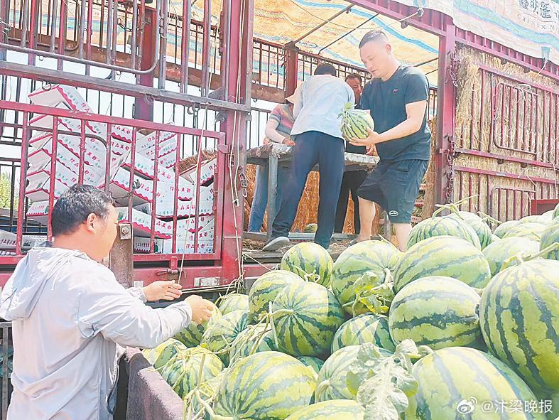 阿里巴巴:2024澳门历史开奖记录查询-西瓜摊被砸倒赔500