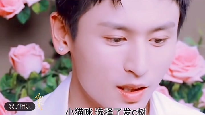 知乎：新澳门资料免费资料大全-菊花和什么一起泡最好