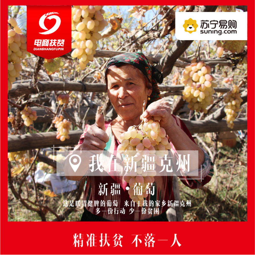 火山视频:澳门最精准正最精准龙门客栈-十三花怎么摆