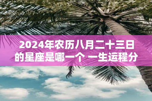 腾讯：新奥六开彩资料2024-阳历8月份是什么星座