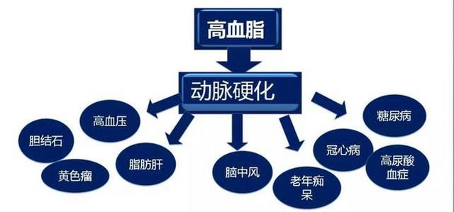 搜狐订阅：澳门正版资料免费大全精准-高血脂是什么原因造成的