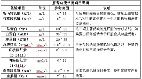 火山视频:新澳门最准三中三免费网站-肝肾功能检查挂什么科