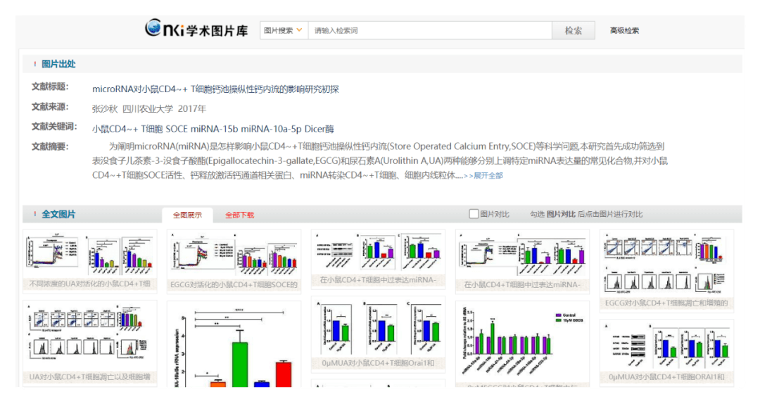 知乎：新澳门正版资料免费看-靛青色是什么颜色