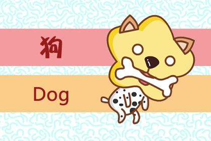 搜狐:白小姐四肖四码100%准-70年属狗的是什么命