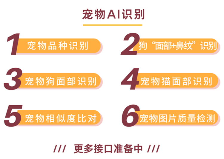 阿里巴巴:澳门天天最准最快资料-words是什么意思
