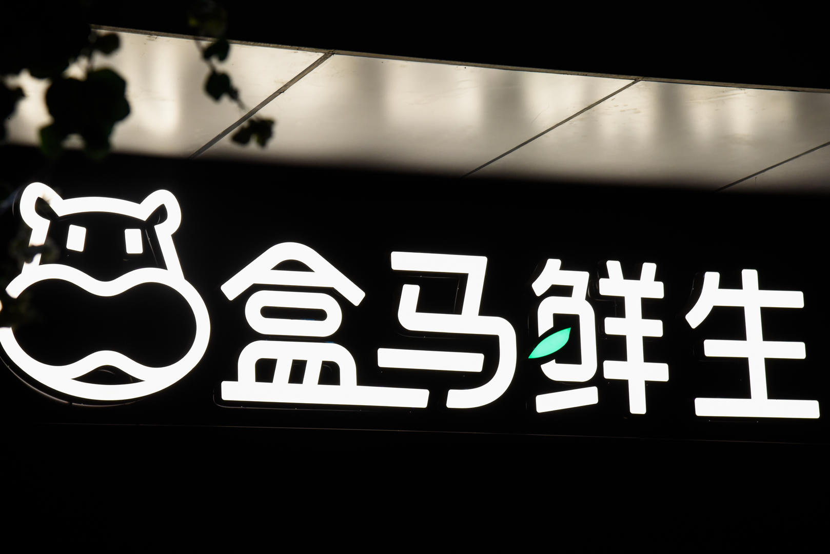腾讯：2024年澳门特马今晚开码-b级车是什么意思