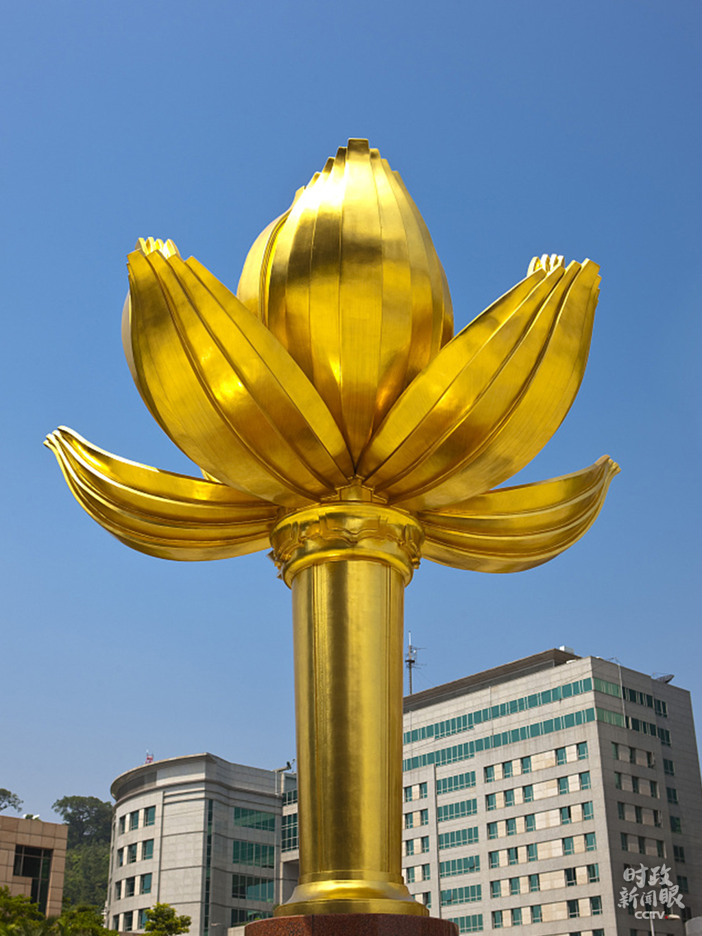 知乎：新澳门精准资料大全管家婆料-广州莲花山怎么去