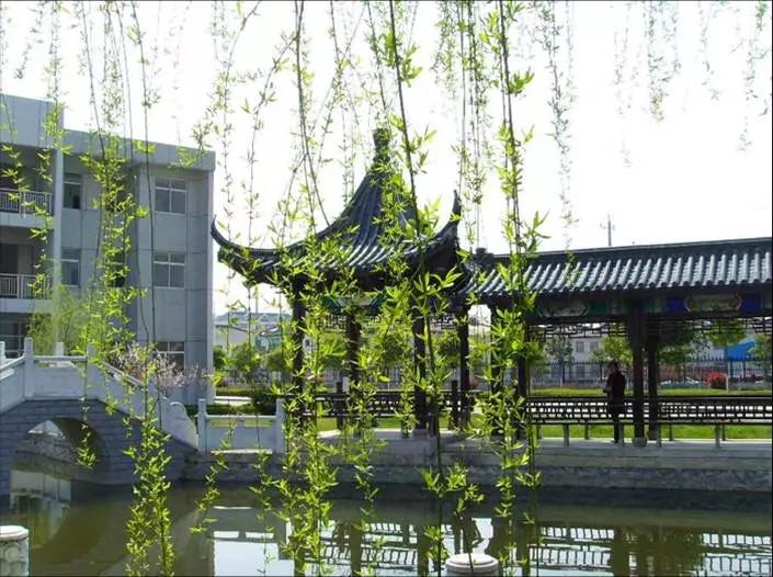 阿里巴巴:澳门三期必内必中一期-镇江有什么好玩的地方