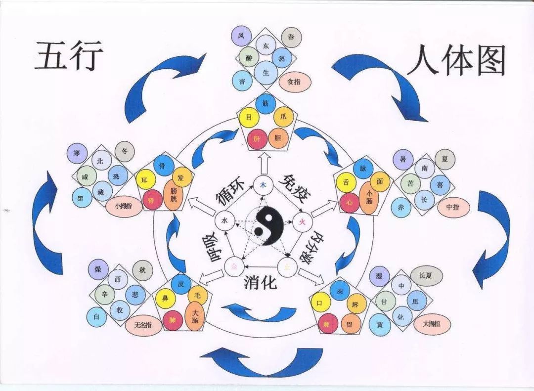 火山视频:新澳彩资料免费资料大全五行-穴与什么有关