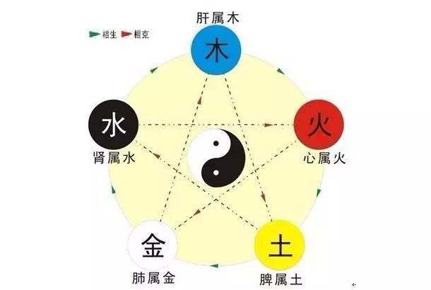 火山视频:新澳彩资料免费资料大全五行-穴与什么有关