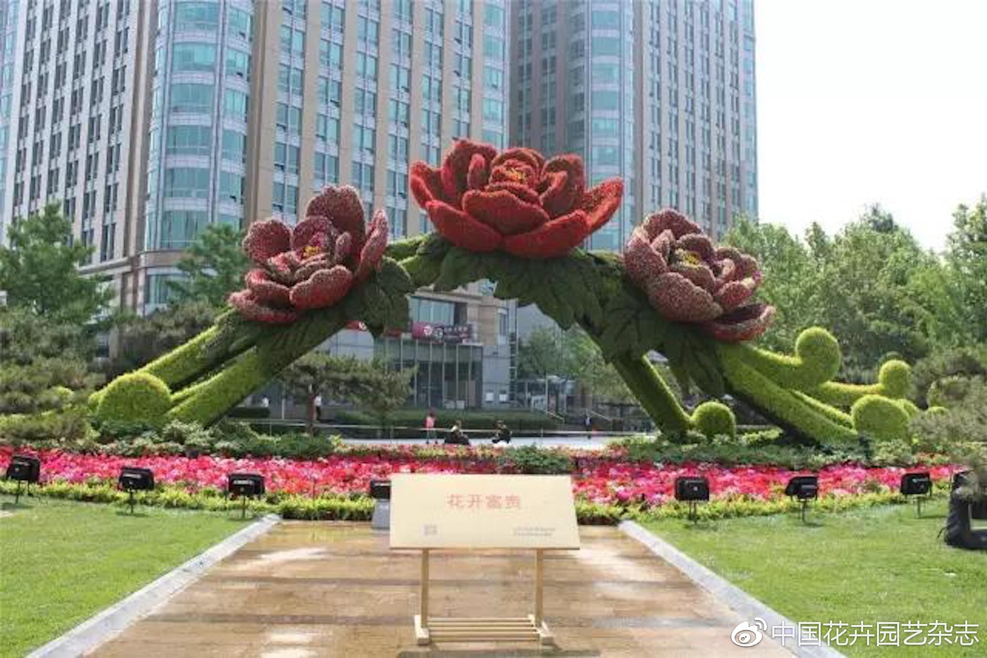 中新网:马会澳门正版资料查询-北京的市花是什么