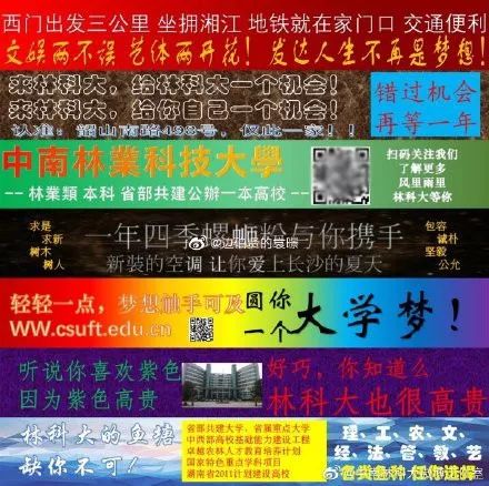 小红书:新澳门资料大全正版资料-农业神哪个朝代