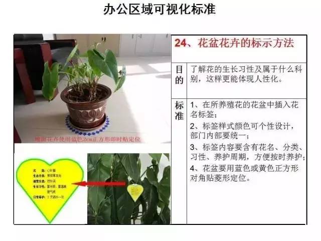 火山视频:新澳门资料大全正版资料4不像-马来西亚有什么特产