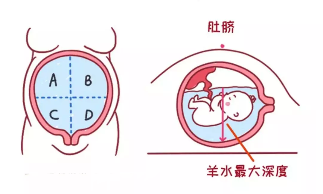 百家号:白小姐四肖四码100%准-羊水是什么