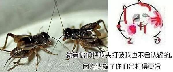 网易:2024香港图库免费资料大全看-吊扇开关怎么接线