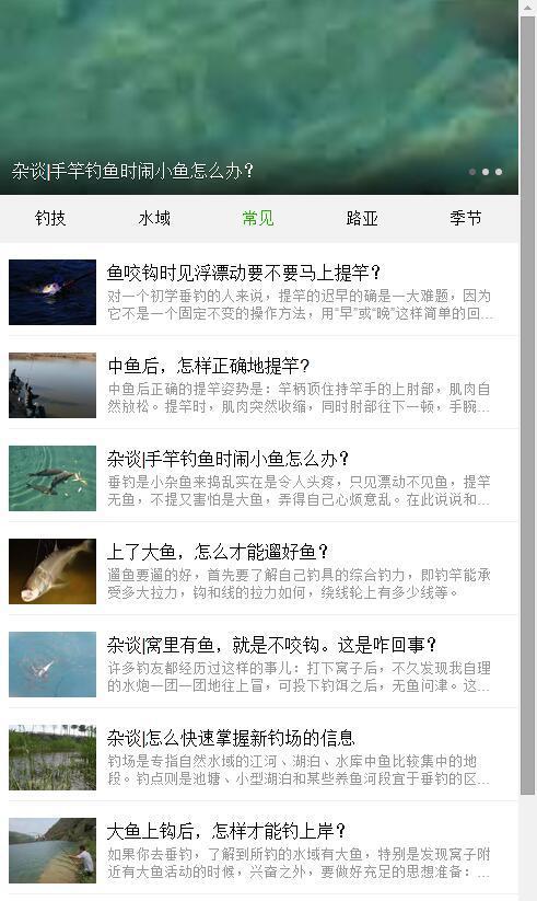 搜狐订阅：澳门资料大全 正版资料查询-钓鱼调漂怎么调